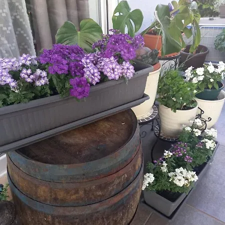 Papa's Place شقة *