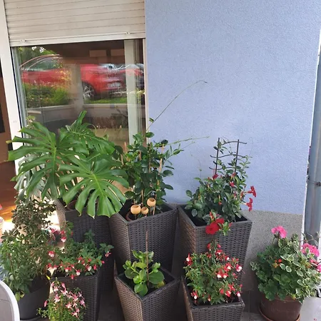 شقة Papa's Place Cernik (Primorje-Gorski Kotar)