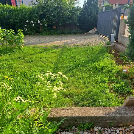 Papa's Place Lägenhet *