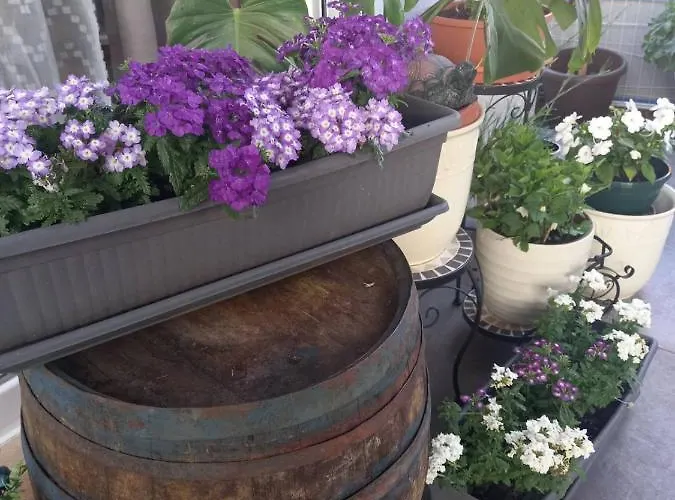 Papa's Place Appartamento *