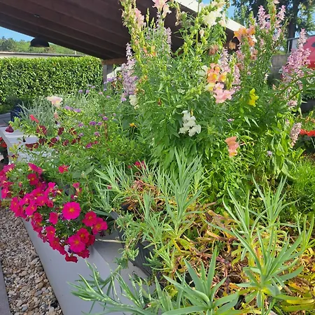 Apartament Papa's Place Cernik (Primorje-Gorski Kotar)