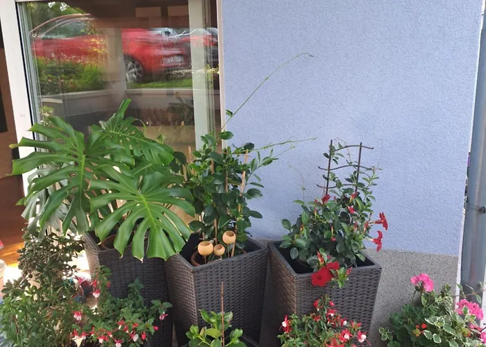 Apartman Papa's Place Cernik (Primorje-Gorski Kotar)