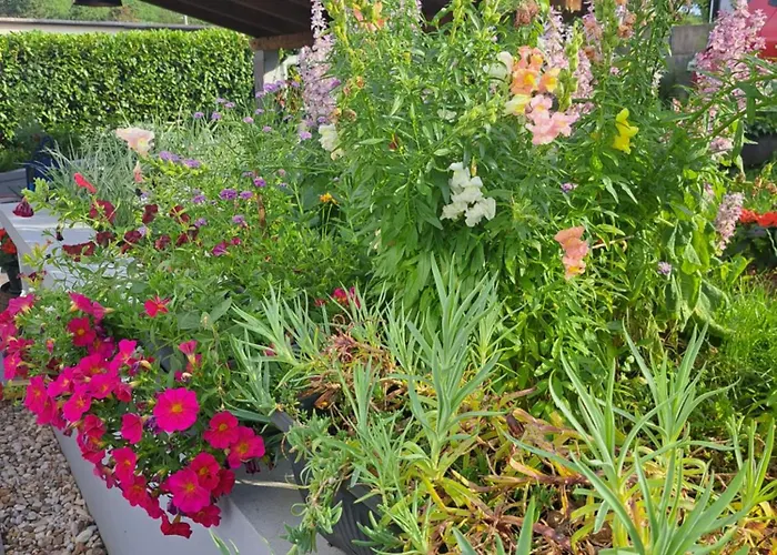 Apartman Papa's Place Cernik (Primorje-Gorski Kotar)